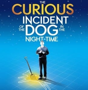Curious Incident poster - Broadway
